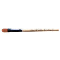 Jane Iredale Camouflage Brush
