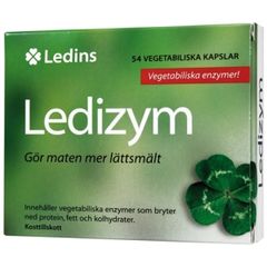 Ledins Ledizym