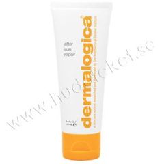 Dermalogica After Sun Repair