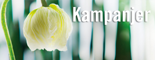 Kampanjvaror med upp till 50% rabatt Kampanjvaror med upp till 50% rabatt