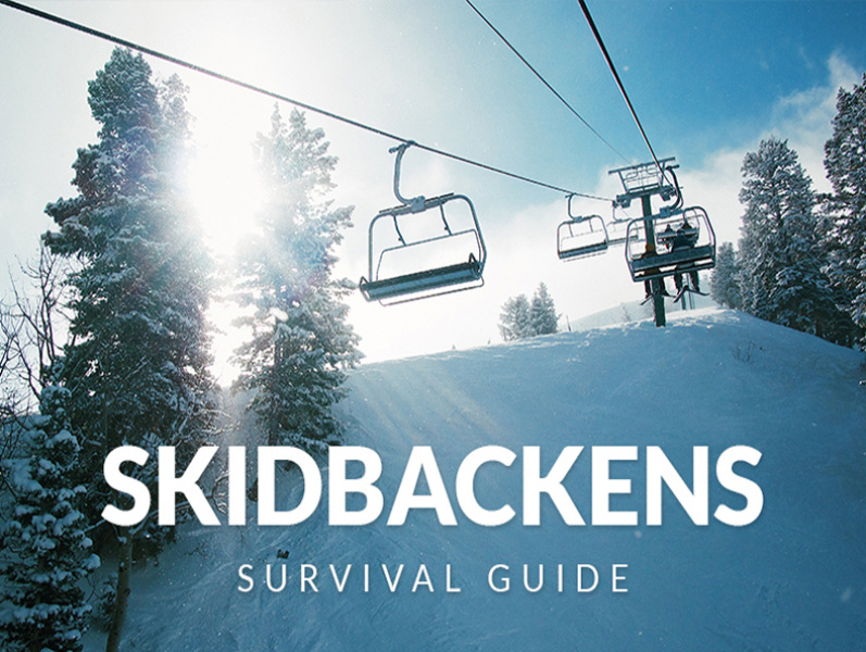 Skidbackens survival guide 