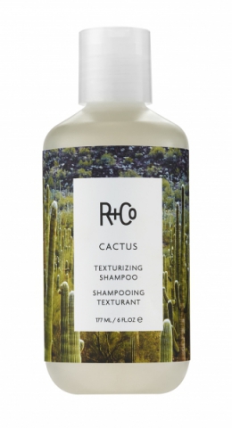R+Co Cactus Texturizing Shampoo i gruppen Hår / Schampo / Specialshampoo hos Hudotekets Webshop (3208)