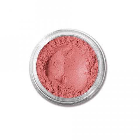 Blush beauty store