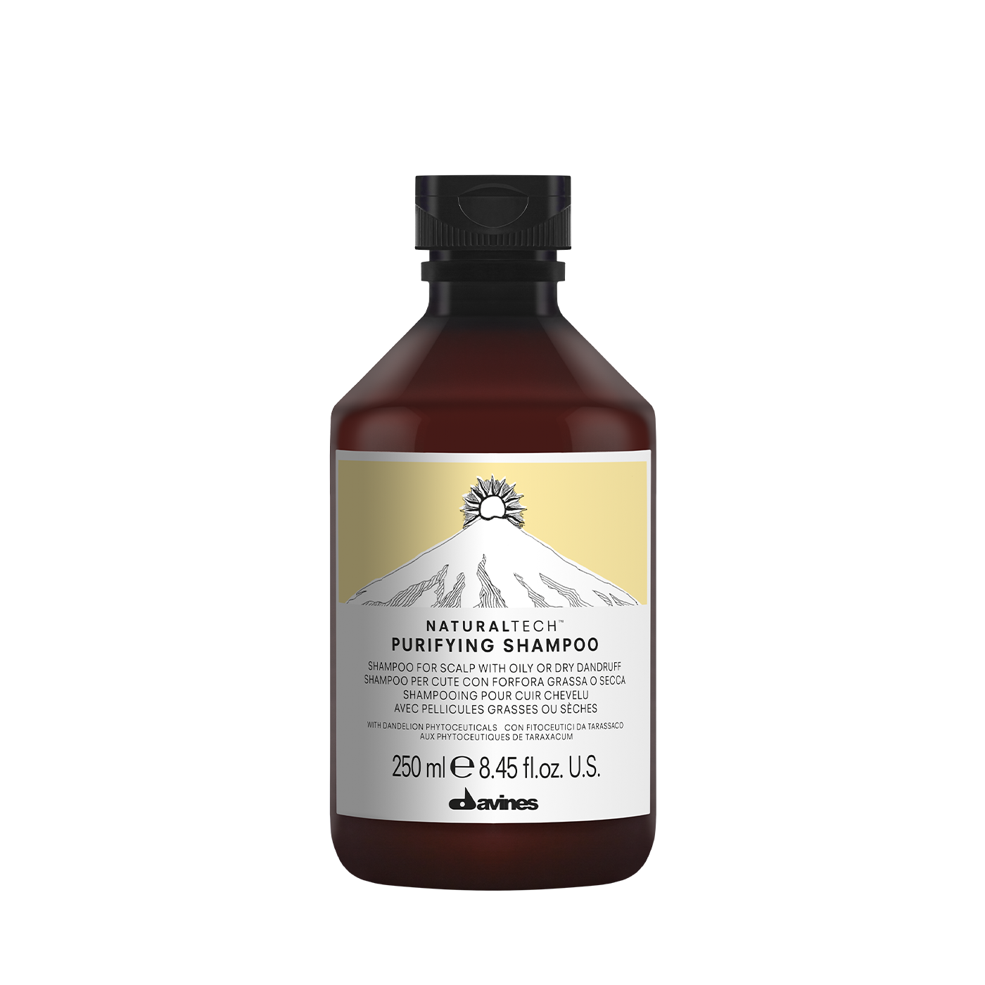 Davines NaturalTech Purifying Shampoo
