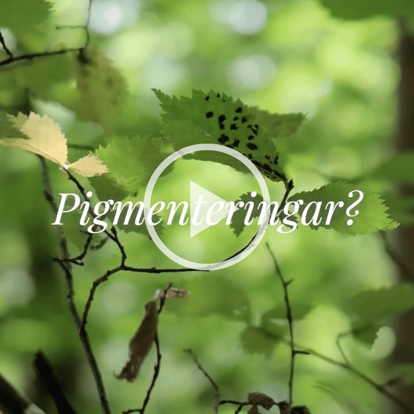 Pigmenteringar Video